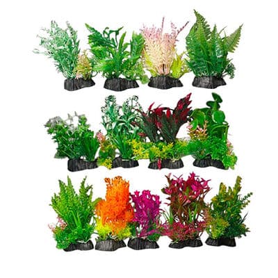 Zampa Karışık Akvaryum Bitkisi 15 Cm